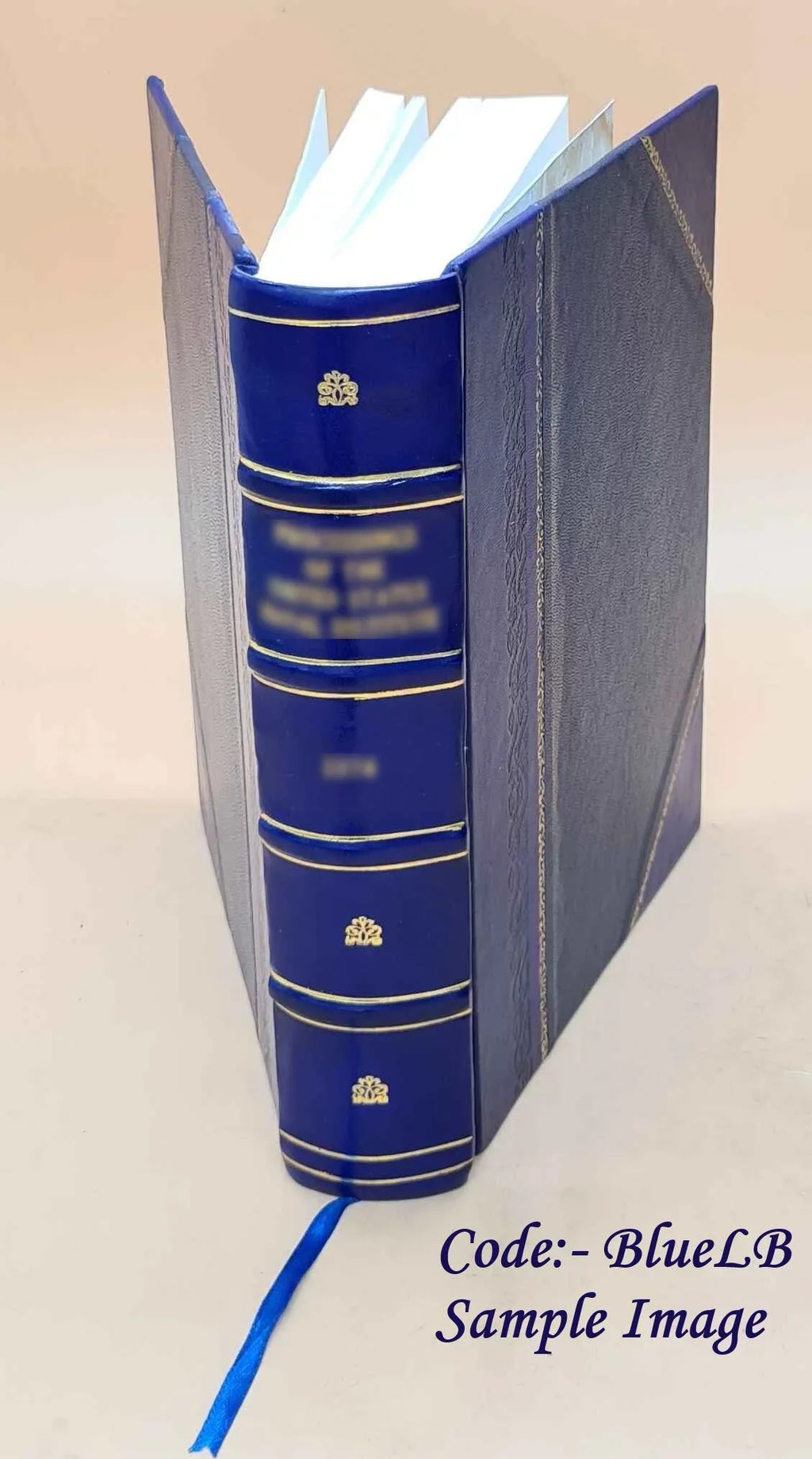 1907 Catalog BOUND] Union 1893 [LEATHER 1893-1907 1893 Volume - College