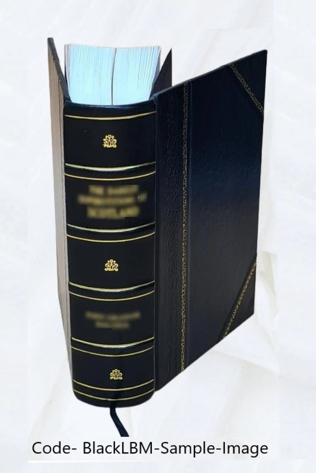 Wales Harry illustrated Monmouth History ... v.2 1894 [Leather author and the Cochrane by ... by / H. of Volume Bound]
