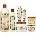Set Oil Mask + True 16.9 7 Oz 11oz Pudding + In Coil + (Shampoo + Oz Pieces 5oz Mizani + Jelly 8oz) 33.8 Oz - Conditioner All 16.9 Hair Textures Lotion 8oz + Gel One