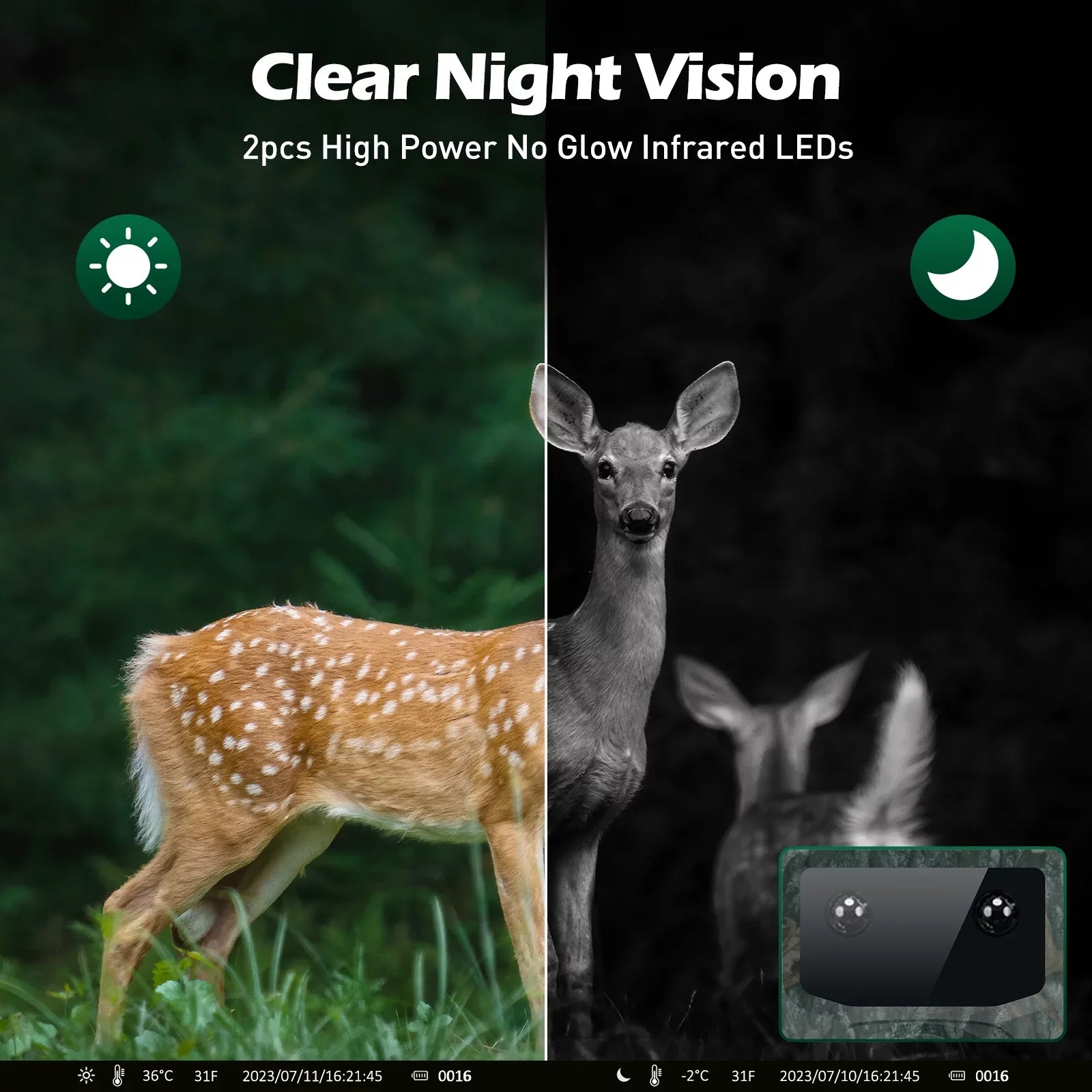Monitor for with SD 4K Camera, Trail 0.1s Card 40MP Time 120¡ã Motion Sensor with Trail Night Cam Vision Wide Deer Waterproof IP66 Trigger Latest Angel Camera Game Time-Lapse TOGUARD Wildlife Hunting
