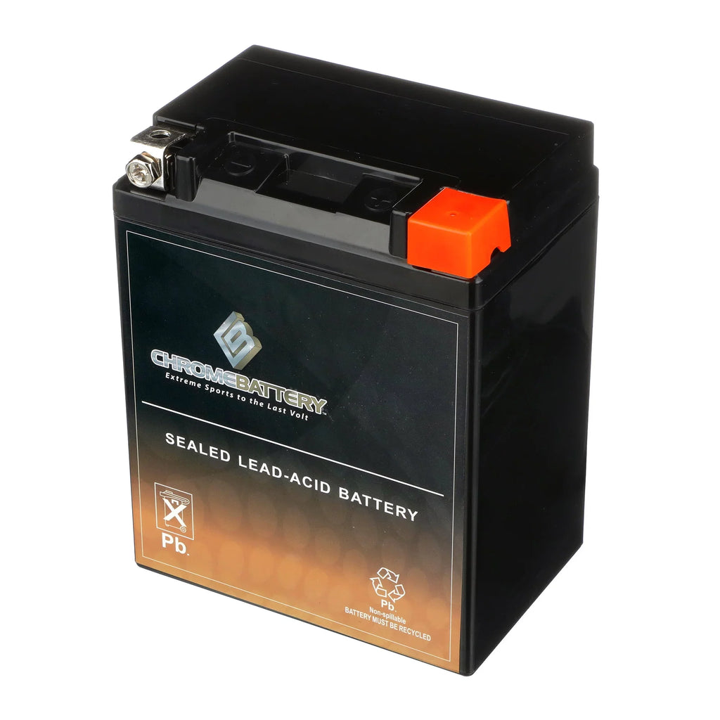 Ah, 210 Battery Volt,12 Cat Arctic Battery CCA) (14AHL-BS Cougar Chrome Snowmobile 1993 12 for YTX14AHL-BS