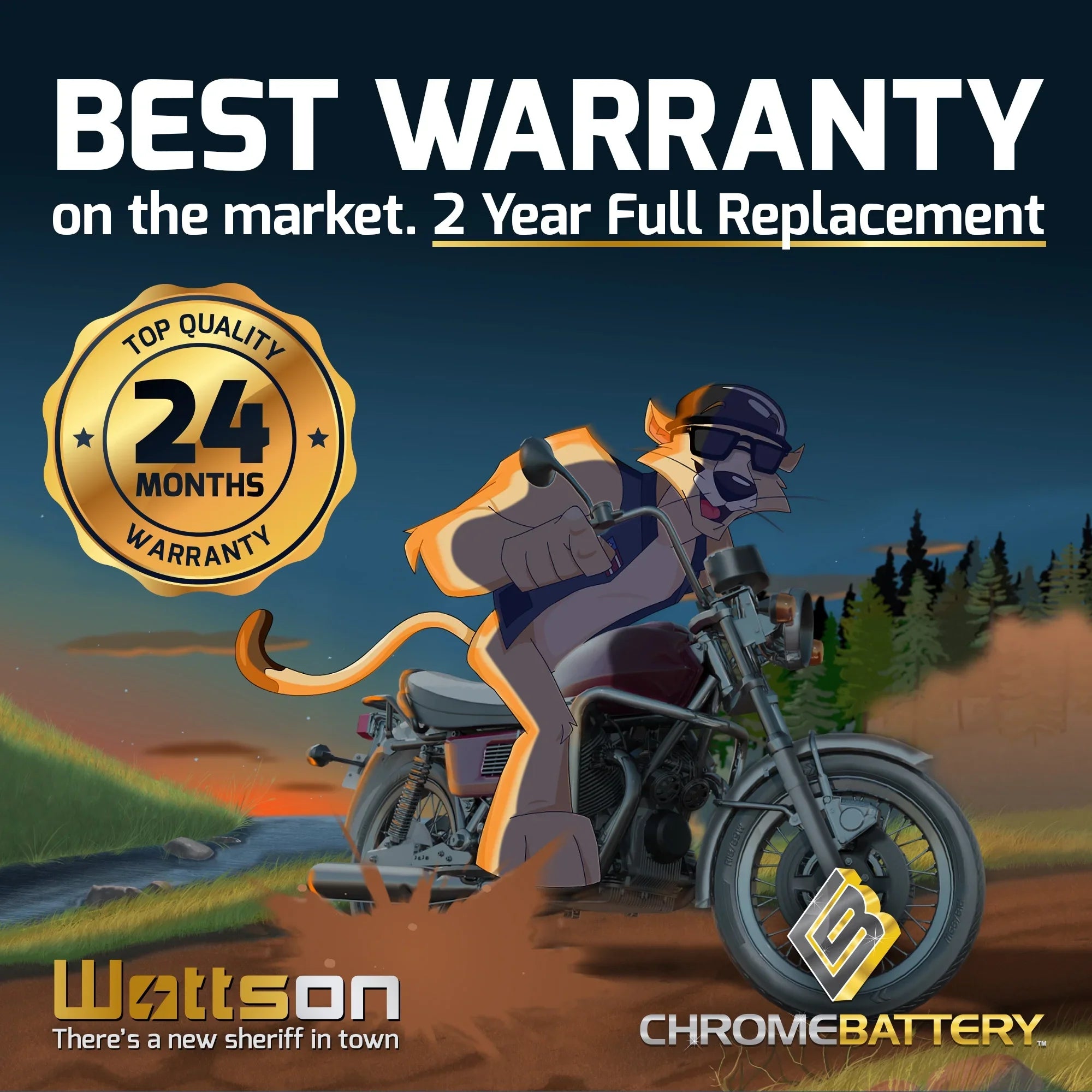 Ah, 210 Battery Volt,12 Cat Arctic Battery CCA) (14AHL-BS Cougar Chrome Snowmobile 1993 12 for YTX14AHL-BS