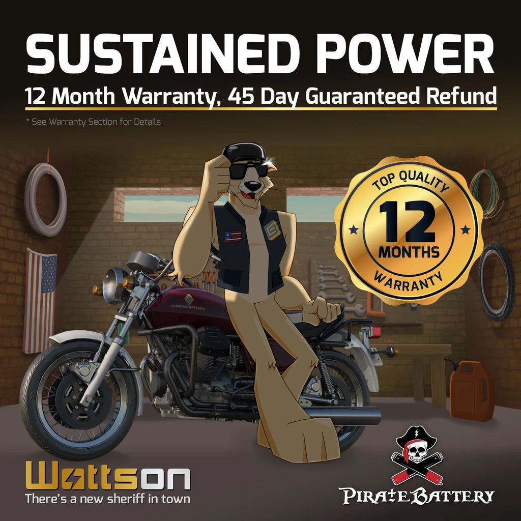 for (14-BS Kawasaki Pirate Volt,12 Motorcycle Drifter CCA) 800cc B, Battery YTX14-BS Classic, Ah, 1995 C, Vulcan, E 200 12 Vn800-a, Battery