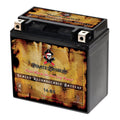 for (14-BS Kawasaki Pirate Volt,12 Motorcycle Drifter CCA) 800cc B, Battery YTX14-BS Classic, Ah, 1995 C, Vulcan, E 200 12 Vn800-a, Battery