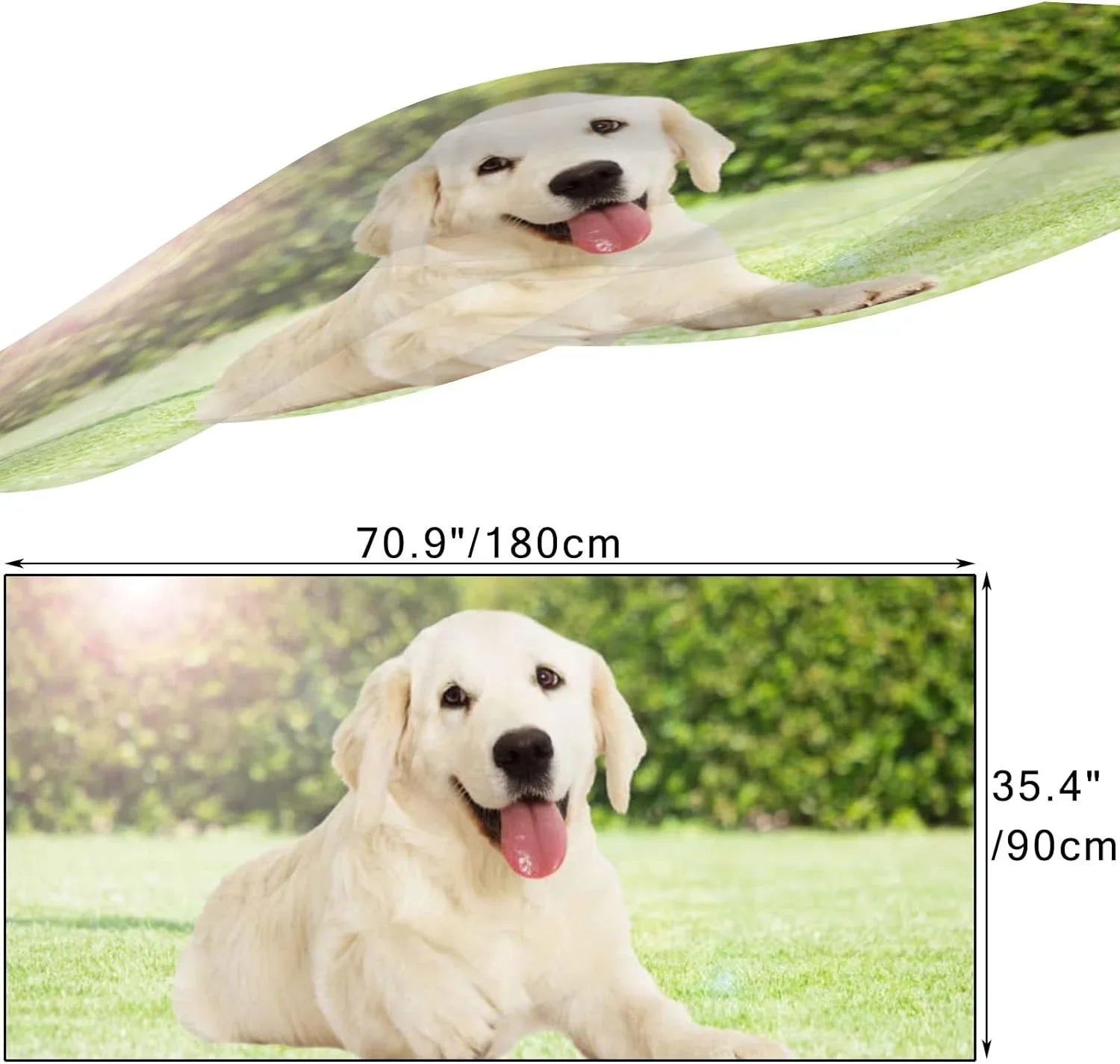 Wrap Neck Silk Girls Shawl Women Scarves Outdoors Scarf Retriever for Looking Hyjoy Long Lightweight Golden