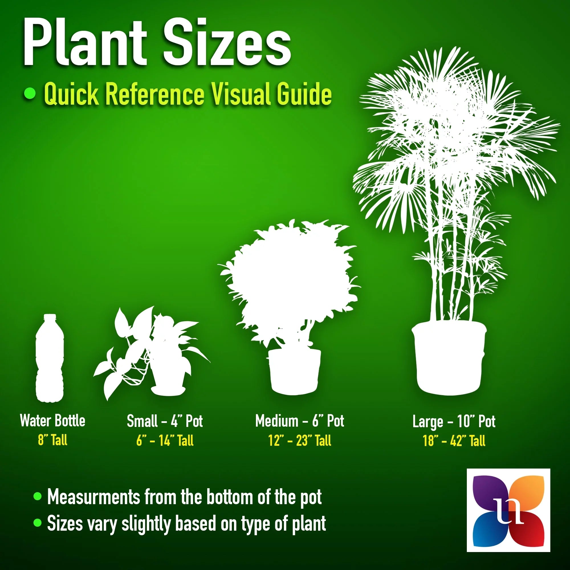 Bird Grower inch Paradise Live United in Nursery 26-32 Plant Tall Pot inches of White 9.25